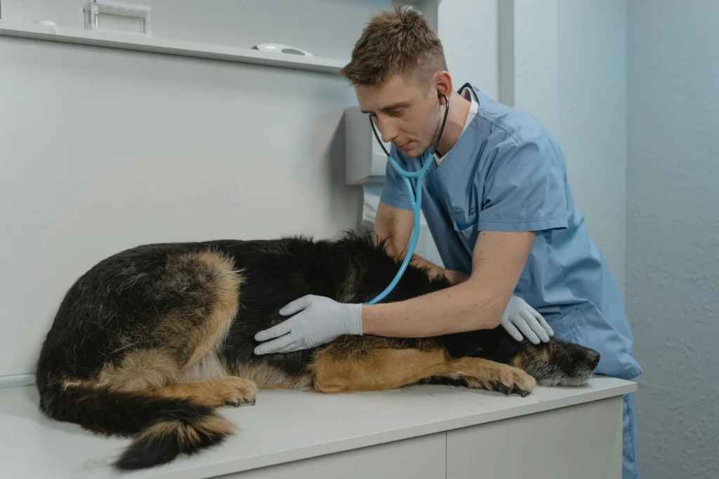 SICK PET