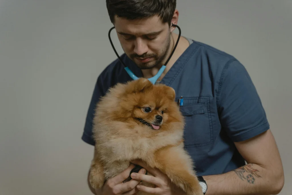 sick pet