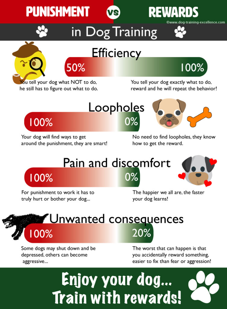 Stubborn dog training challenges