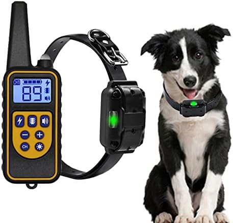 Best Training Collar for Stubborn Dogs