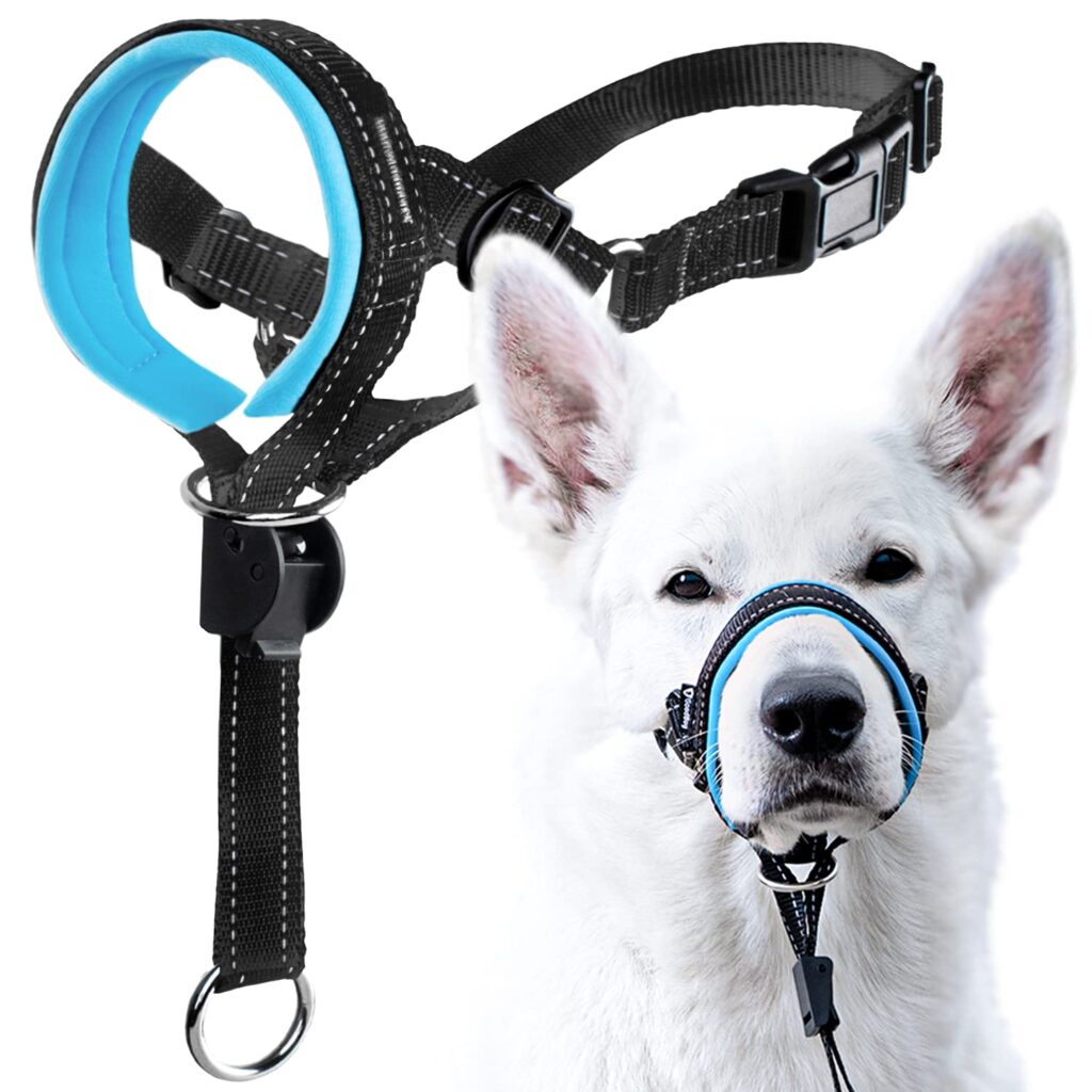 Best Training Collar for Stubborn Dogs