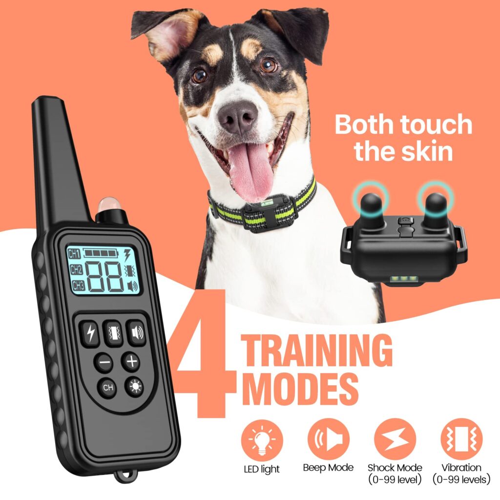 Best Training Collar for Stubborn Dogs