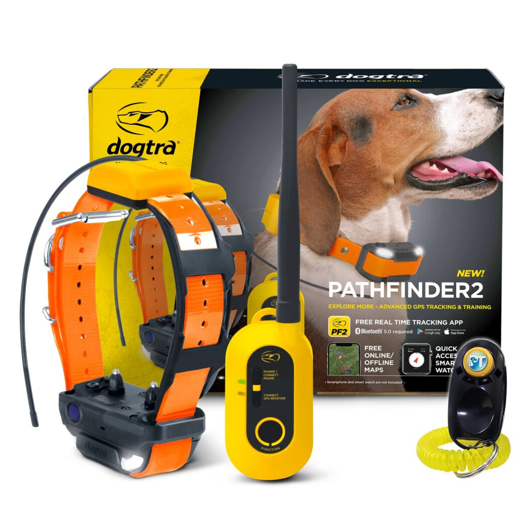 Best Training Collar for Stubborn Dogs