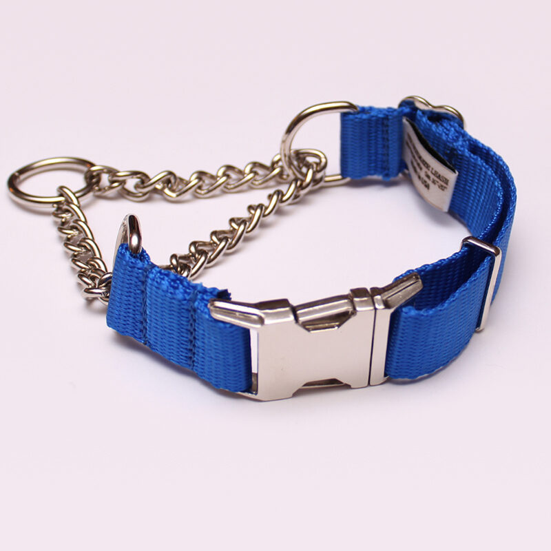 Best Training Collar for Stubborn Dogs