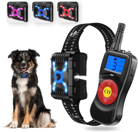 Best Training Collar for Stubborn Dogs