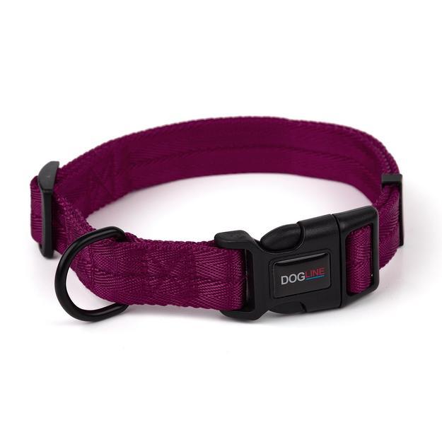 Best Training Collar for Stubborn Dogs